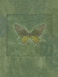 Butterfly Greens Poster Print by Alixandra Mullins showcasing colorful butterflies on a lush green background.