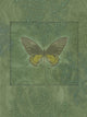 Butterfly Greens Poster Print by Alixandra Mullins showcasing colorful butterflies on a lush green background.