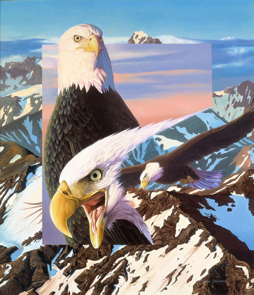 Screaming Eagles poster print by Graeme Stevenson showcasing majestic eagles in flight