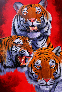 Tigers Poster Print by Graeme Stevenson showcasing majestic tigers.