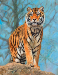 Amur Tiger Guard Poster Print by David Stribbling showcasing a majestic tiger.