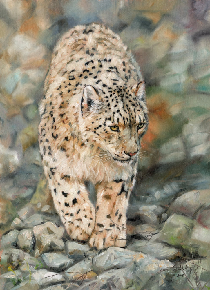 Amur Tiger Laying in Snow - Oil on Canvas Print by David Stribbling
