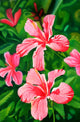Flowers Poster Print by Graeme Stevenson showcasing vibrant floral artwork.