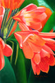 Flowers Poster Print by Graeme Stevenson showcasing vibrant colors and intricate details