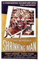 The Incredible Shrinking Man movie poster print featuring classic film art.