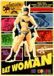 Bat-Woman Movie Poster Print showcasing vibrant superhero imagery.