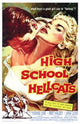 High School Hellcats Movie Poster Print showcasing vibrant artwork.