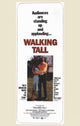 Walking Tall Movie Poster showcasing action-packed scenes from the film.