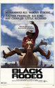 Black Rodeo Movie Poster Print featuring vibrant colors and dynamic design.