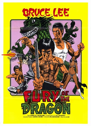 Fury of the Dragon Movie Poster Print showcasing dynamic martial arts action.