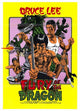 Fury of the Dragon Movie Poster Print showcasing dynamic martial arts action.
