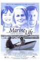 Marine Life Movie Poster Print showcasing vibrant ocean life.