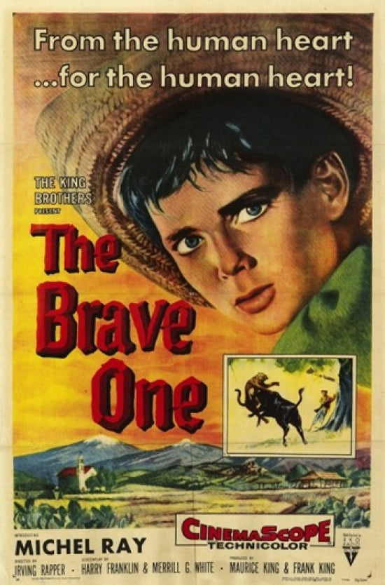 The Brave One Movie Poster Print showcasing dramatic visuals and bold colors.
