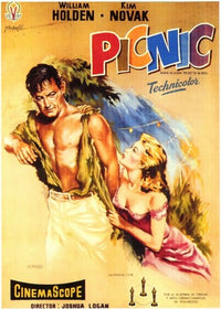 Picnic Movie Poster Print showcasing classic film art.