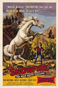 Snowfire Movie Poster - Captivating cinematic artwork