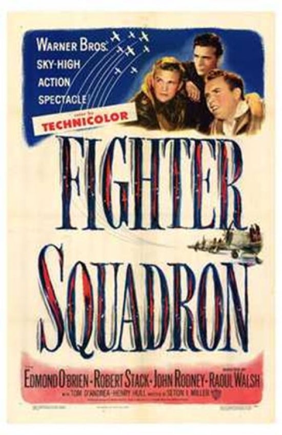 Fighter Squadron Movie Poster Print featuring aerial combat imagery.