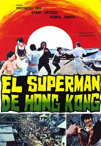Bruce Hong Kong Master Movie Poster - vibrant cinematic art print