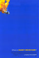 Danny Deckchair Movie Poster Print - Colorful and Whimsical Artwork