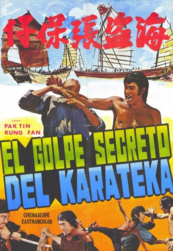 Secret Blow of Karate Movie Poster featuring vibrant action artwork