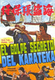 Secret Blow of Karate Movie Poster featuring vibrant action artwork