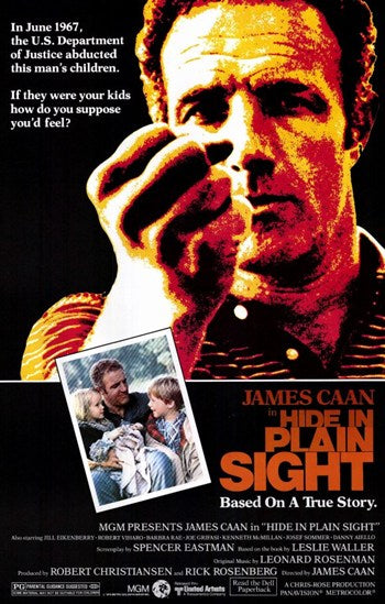 Hide in Plain Sight Movie Poster Print showcasing vibrant visuals.