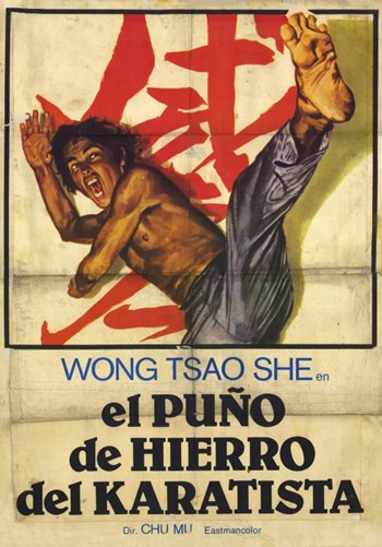 Punisher of Iron Karate Movie Poster showcasing thrilling martial arts action.