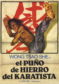 Punisher of Iron Karate Movie Poster showcasing thrilling martial arts action.