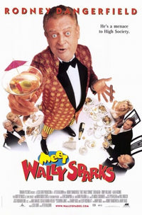 Meet Wally Sparks Movie Poster Print featuring vibrant colors and captivating design.
