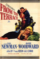 From the Terrace Movie Poster Print featuring classic film art