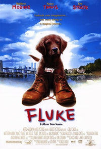 Fluke Movie Poster Print showcasing whimsical adventure theme.