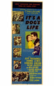 It's a Dog's Life Movie Poster featuring a charming dog theme.