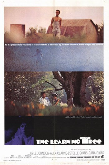 The Learning Tree Movie Poster Print showcasing the film's themes of growth and discovery.