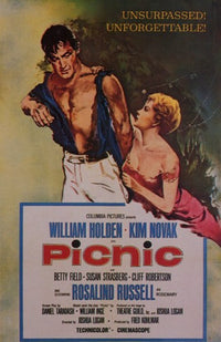 Picnic Movie Poster Print showcasing vibrant colors and classic film imagery.