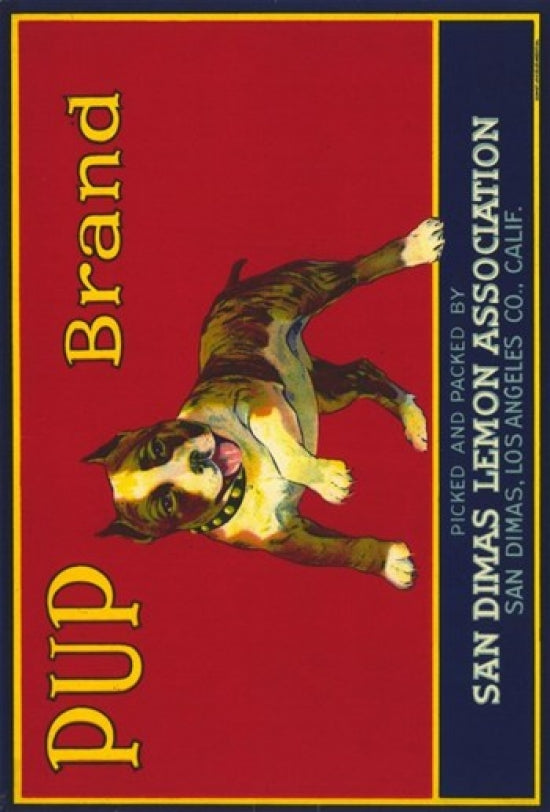 Pup Brand Lemons Movie Poster Print - colorful and vibrant design