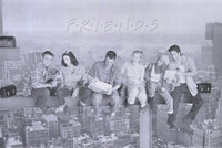 Friends TV Show Movie Poster Print in 11x17 size.