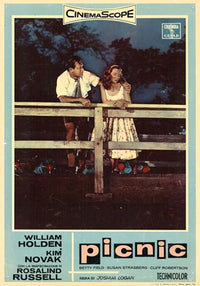 Picnic Movie Poster Print featuring classic film scene