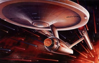 Star Trek Special Edition Movie Poster 11x17 featuring iconic space adventures.