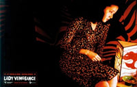 Sympathy for Lady Vengeance Movie Poster 11x17
