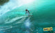 Surf's Up Movie Poster Print showcasing colorful characters and scenes from the animated adventure.