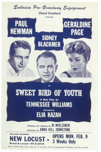 Sweet Bird Of Youth Broadway Movie Poster Print showcasing vibrant theatrical design.