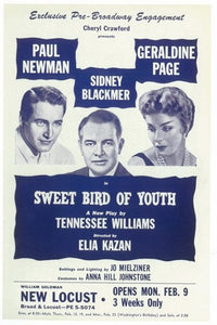 Sweet Bird Of Youth Broadway Movie Poster Print showcasing vibrant theatrical design.