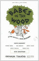 Babes In the Wood Broadway Movie Poster showcasing vibrant theatrical imagery.