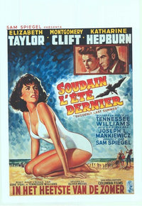 Suddenly Last Summer movie poster print showcasing classic film art.