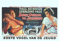 Sweet Bird of Youth Movie Poster Print 11 x 17
