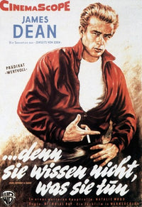 Rebel Without a Cause Movie Poster Print featuring classic cinema art.