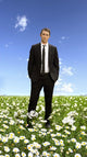Pushing Daisies Movie Poster Print showcasing vibrant colors and whimsical design.