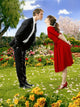 Pushing Daisies movie poster print featuring whimsical design.