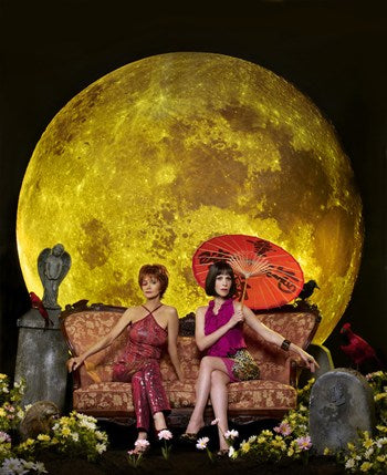 Pushing Daisies Movie Poster Print featuring vibrant, whimsical artwork.
