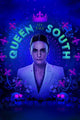 Queen of the South Movie Poster Print 11x17