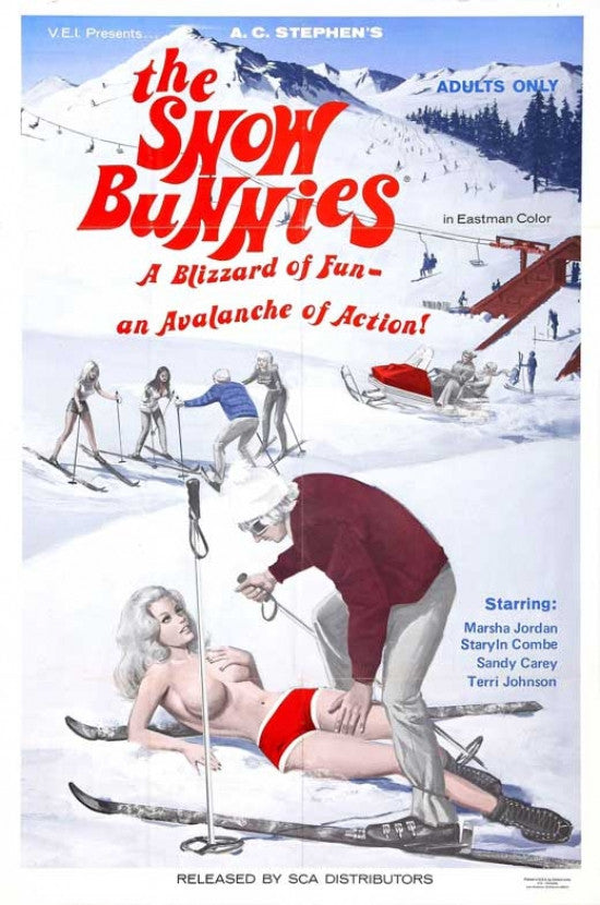 The Snow Bunnies Movie Poster Print (27x40) - Pop Culture Graphics